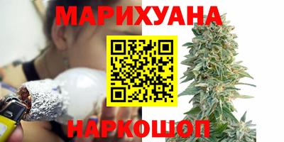 прущие грибы Заводоуковск