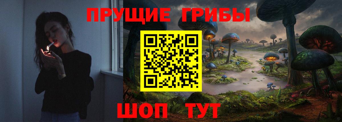 Галлюциногенные грибы мухоморы Лениногорск