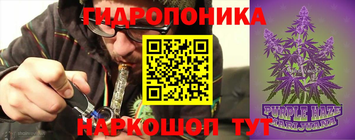 Шишки марихуана план Лениногорск